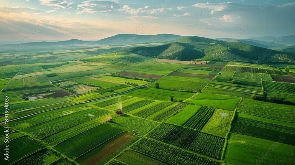 Poster aerial view of a vast agricultural farm with neatly arranged crop fields and irrigation systems gene