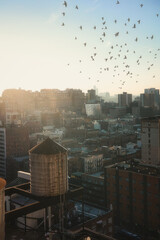 view from the top of the building