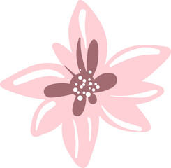 beautiful handdrawn wild flowers