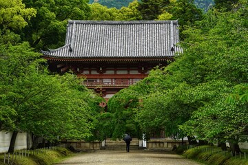 Daigo-ji Kyoto