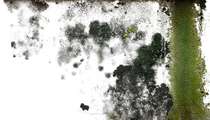 Paredes manchadas con humedady moho