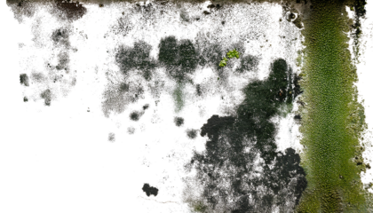 Paredes manchadas con humedady moho