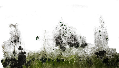 Paredes manchadas con humedady moho