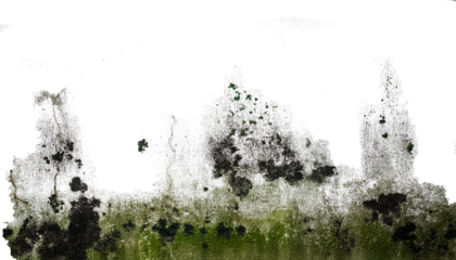 Paredes manchadas con humedady moho