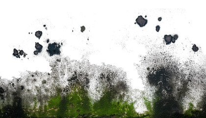 Paredes manchadas con humedady moho