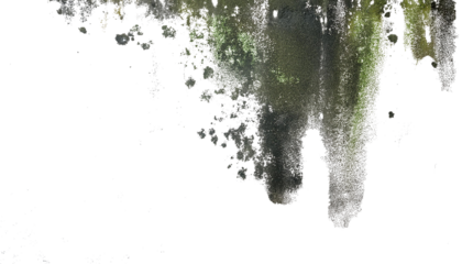 Paredes manchadas con humedady moho