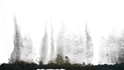 Paredes manchadas con humedady moho