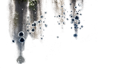 Paredes manchadas con humedady moho