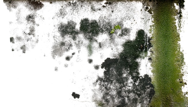 Paredes manchadas con humedady moho