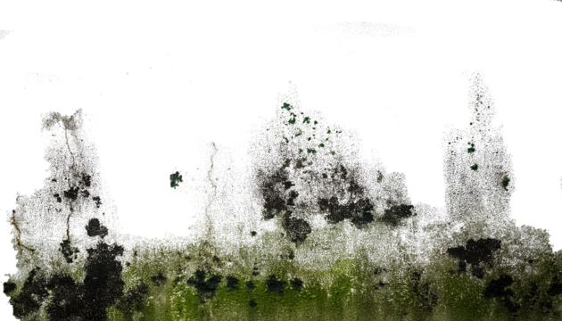 Paredes manchadas con humedady moho