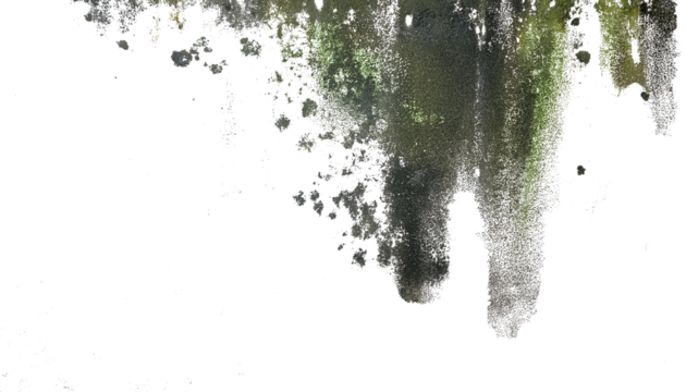 Paredes manchadas con humedady moho