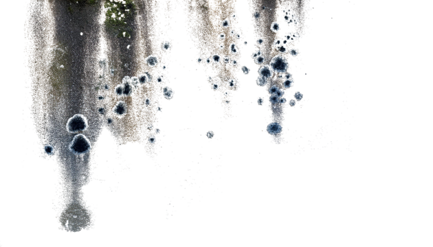 Paredes manchadas con humedady moho