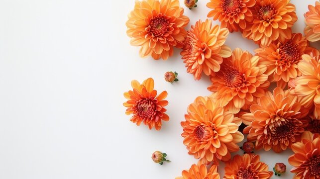 Close up bouquet of orange chrysanthemum flowers on white background with copy space