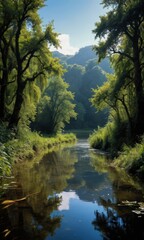 Tranquil River in a Lush Forest.