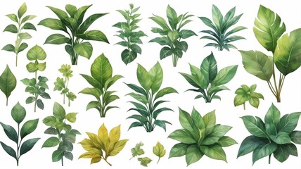 plants in pots