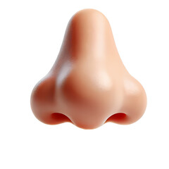 Detailed 3D Model of Human Nose