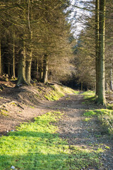 Dublin, Ireland - city and nature views from the top of a hill