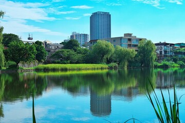 池と新緑と青い空