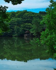 池の上の小さな小屋