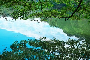 水面の波紋と青い空