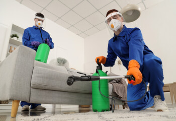 Male workers in protective suits disinfecting room