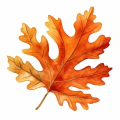 Fototapeta premium A watercolor painting of autumn orange leaf with a brown stem
