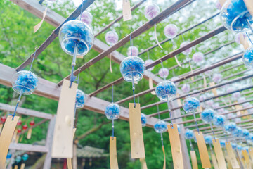 京都の正寿院の美しい風鈴