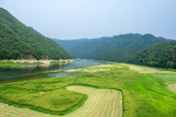 The beautiful green field on summer.  © Chongbum Thomas Park