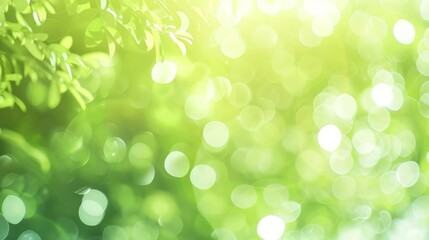 Obraz premium Online Conference with Light Green Background