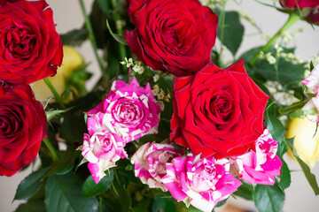 カラフルな薔薇