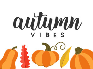 Autumn Vibes Phrase Decorated with Pumpkin Border. Vector Handwritten Phrase with Fall Leaves. © Ekaterina