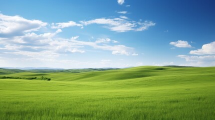 Obraz premium Expansive green field with rolling hills and a clear horizon
