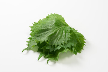 青紫蘇の葉　白バック