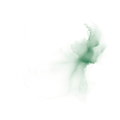 Emerald watercolor splash on transparent background