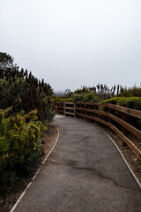 path by the ocean