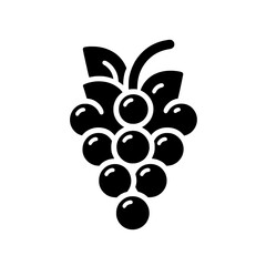 grapes vector illustration isolated