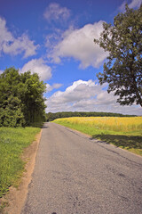 Road, nature and pathway to travel, peace and outdoor in environment, location and adventure in forest. Woods, highway and direction of destination for journey, morning and trees on trip or landscape