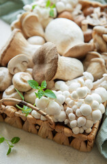 Assortment of various raw mushrooms