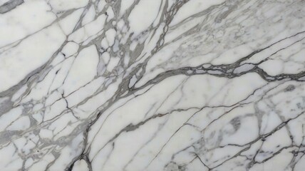 Classic marble surface with a pristine white base and delicate gray veining, ideal for sophisticated designs. 