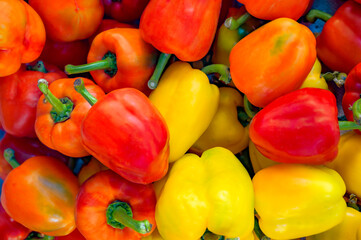 Fresh fruits of Sweet peeper, Bell pepper or Capcicum in various colors