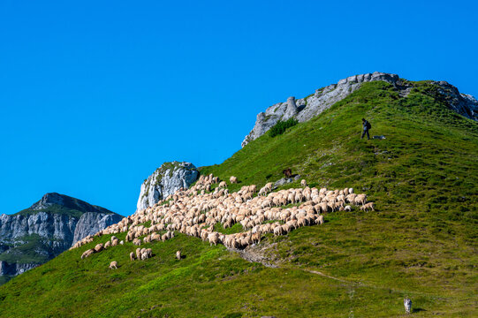 Epic Summer Hike to Refugiul Țigănești: Camping on the Ridge and Exploring Cabana Mălăiești