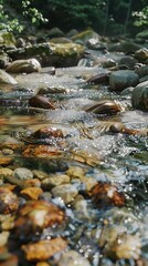 Fototapeta premium stream in the forest