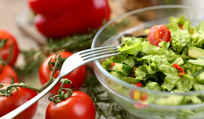 Fresh Chopped Organic Vegetable Salad Photography. Cut Cherry Tomato, Green Lettuce and Cucumber in Glass Bowl. Stainless Fork. Culinary Recipe. Dieting Dish with Healthy Ingredient Partial View Photo