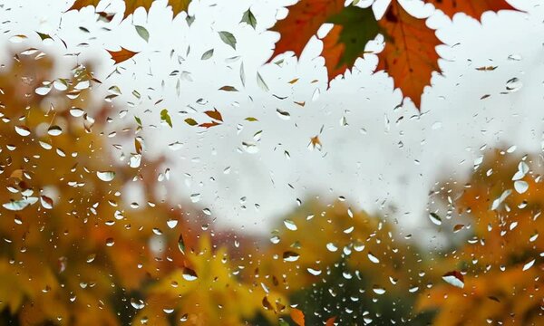 autumn background. autumn leaves on rainy glass texture, bright abstract natural backdrop. concept of fall season. rainy day weather