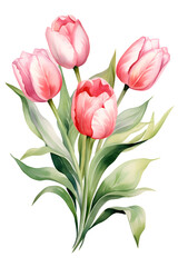 Fototapeta premium bouquet of pink tulips, watercolor painting clipart, isolated object
