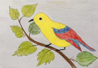Child's drawing of a yellow bird with red and blue wings perched on a branch with green leaves. 