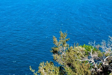 Cape Tourville, lighthouse, Freycinet peninsula, Tasman wilderness, Tassie, Tasmania, Australia 