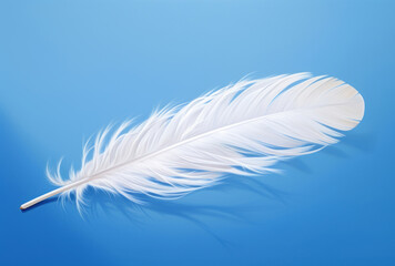 Fototapeta premium A white feather floats in the air against a blue sky, its spare and elegant brushwork, personal iconography, crisp and delicate soft-focus apparent.