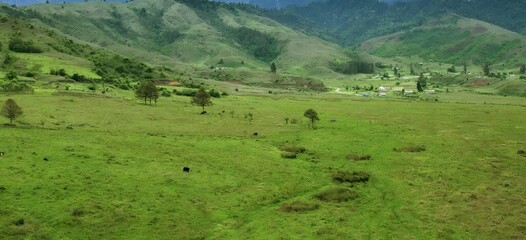 Greenery and beautiful nature view