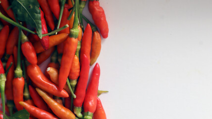 fresh red chilies on a white background